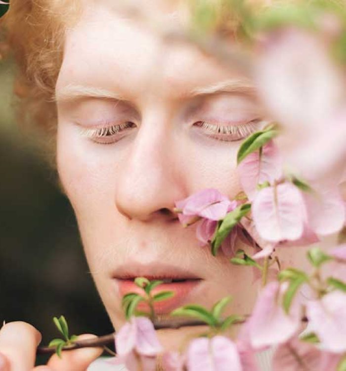 The Ultimate Guide To Beauty