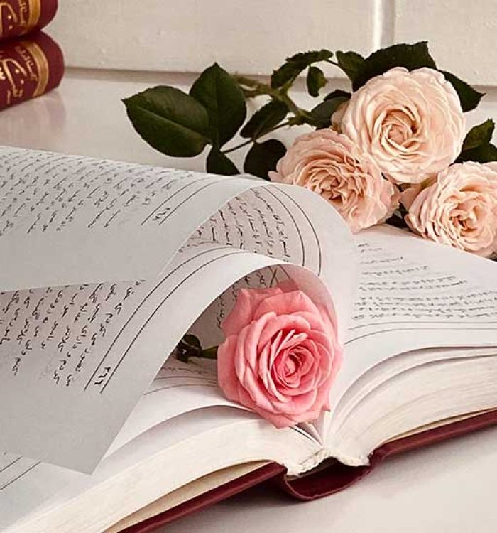 Everything You Wanted to Know